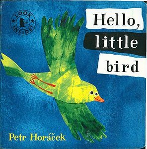 hello, little bird